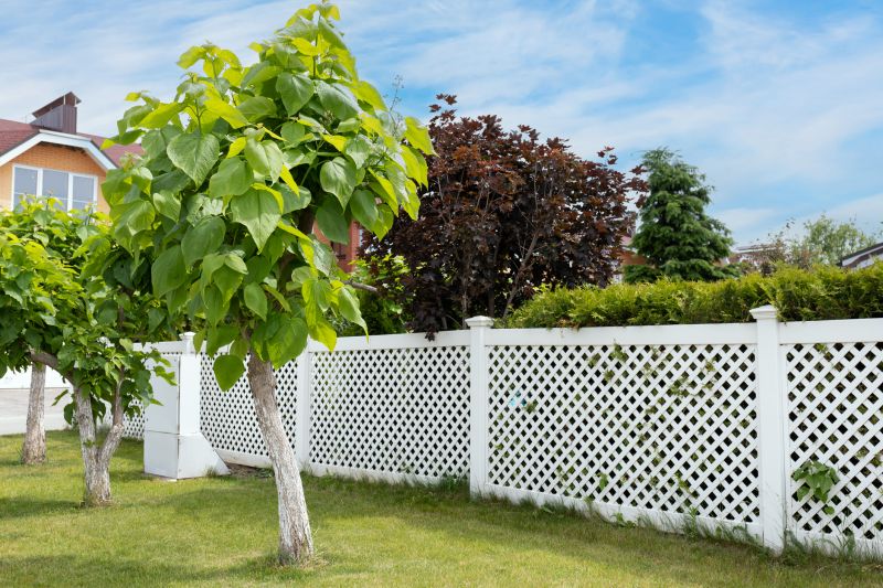Decorative Vinyl Fence Service